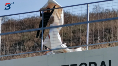 mladic skinuo sliku vucica i dodika sa autoputa capture 20191026 161306 5db454b01d674
