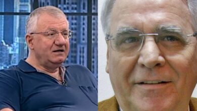 seselj pantic