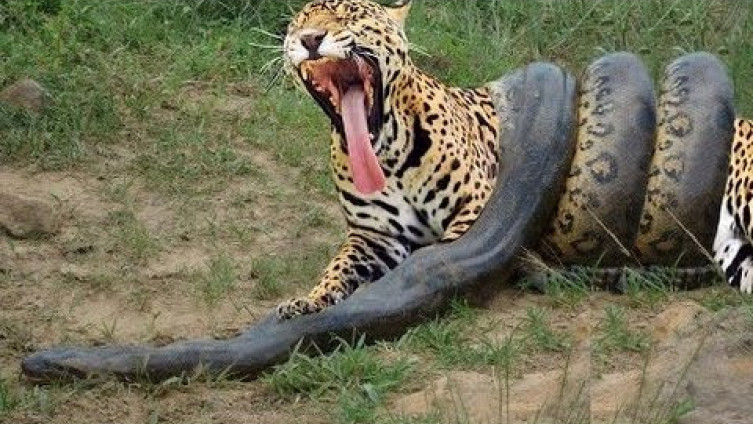 hghjiguftt6utzut