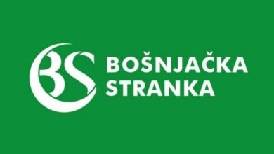 bs logo 696x469
