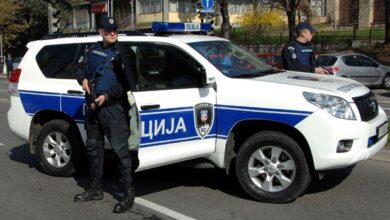 d milovanovic01 620x0