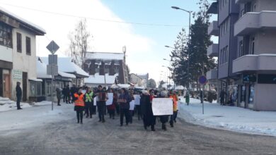 vaspitaccice sj protest2