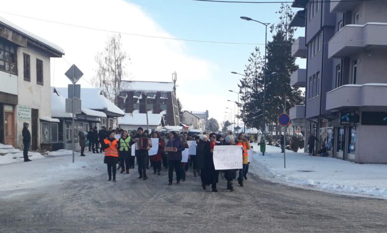 vaspitaccice sj protest2