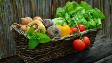 vegetables 7521531280 815x458