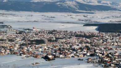 SetWidth1200 3sjenica