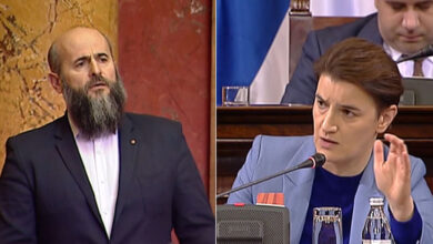 zukorlic brnaboci