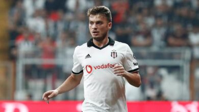 1723529 ljajic profi01 ls