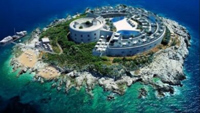 Mamula Crna Gora Otok Logor Ljetovaliste Foto Mamula Island