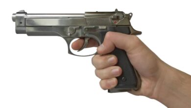 pistolj 735x400