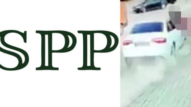 spp udes
