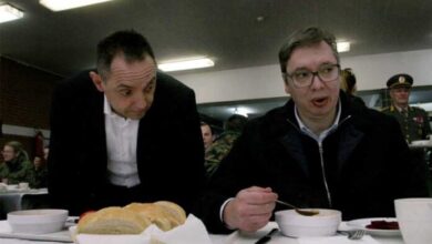 vucic vulin 3 696x469