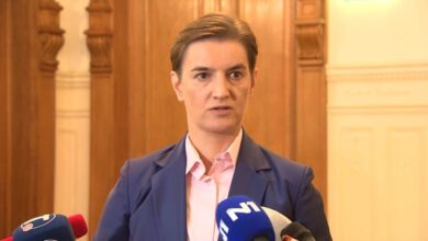 Ana Brnabic