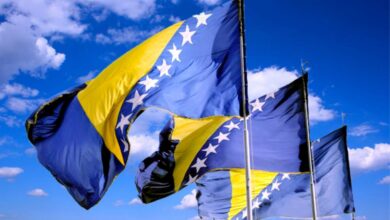 BiH Zastave