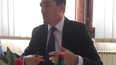 bogoljub zivkovic