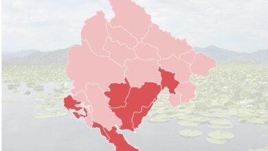 fgtre6546757