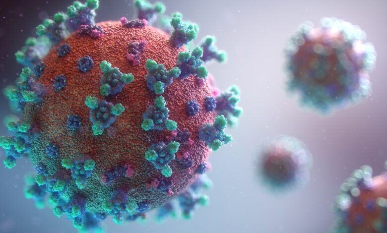 fusion medical animation rnr8D3FNUNY unsplash