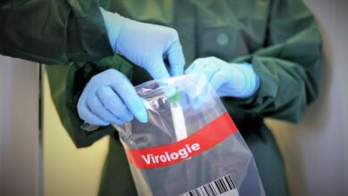 koronavirus covid 19 nemacka epidemija 5