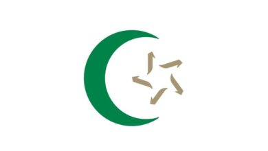 logo iz bijeli 1200x600 1 1140x6007267917582138631395 1