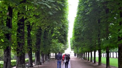 pariz park
