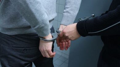 policija hapsenje lisice 1 830x0