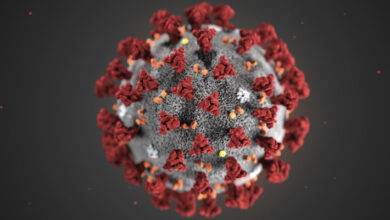 testiranje korona virus3 1