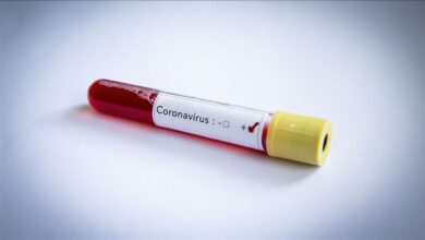 thumbs b c 40e0db5325063d8e1281a131bb33322d