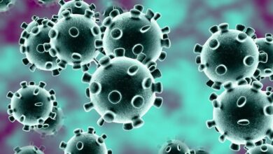 virus korona