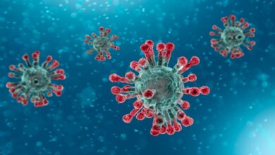 Korona virus