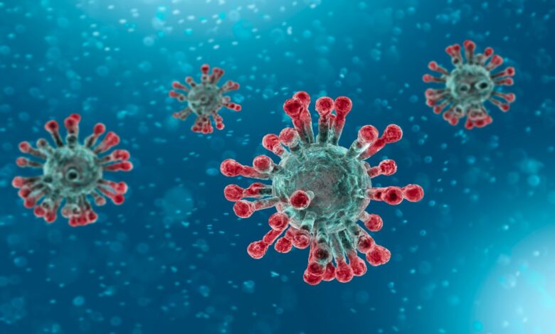 Korona virus
