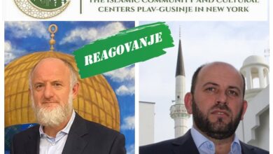 SmajoSrdanovicRifatFejzic