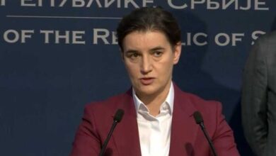 ana brnabic 7 696x469