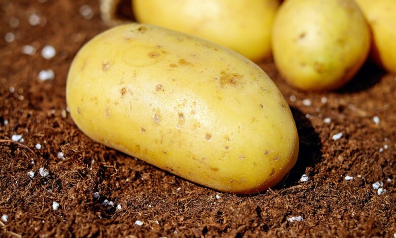 potatoes 1585057 960 720