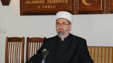 resad ef plojovic2