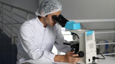 adult biology chemical chemist 356040