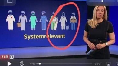 austria zib orf cistacica muslimanka grafika prtscr