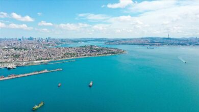 thumbs b c ee7ad0008006714ff0688da3e98a0ef5