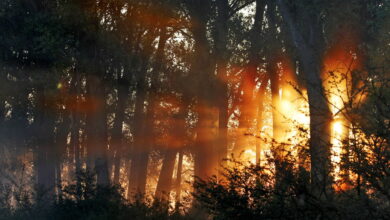 zasticena podrucja gornje podunavlje prognoza vreme priroda sunce zalazak 37