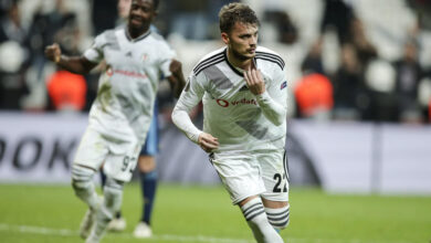 2116535 ljajic01 ls