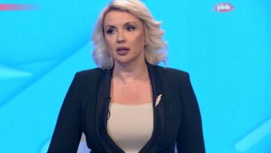 Darija Kisic Tepavcevic screenshot1 725x497