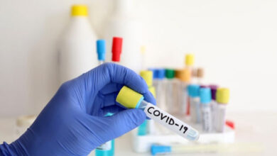 korona virus