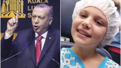 nadin smajlovic erdogan turska pismo juni2020 rsa