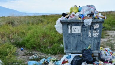 njemacka plastika smece prodaja juni2020 pixabay