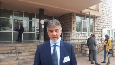 radoslav milic