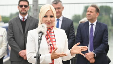 zorana mihajlovic