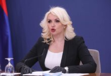 darija kisic 1