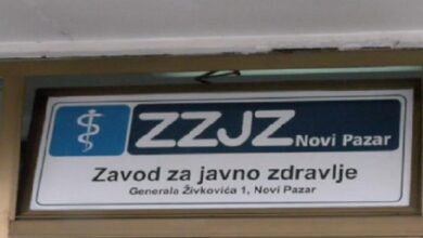 zzjz 800x445