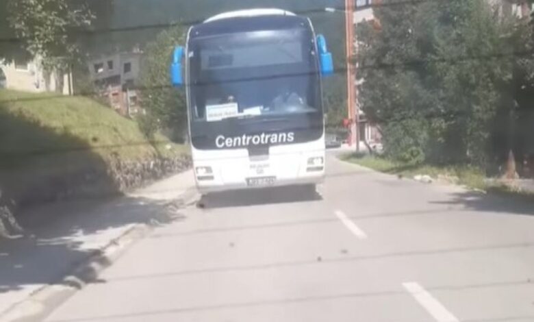 autobus crna gora pljevlja