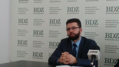 edin zecirovic