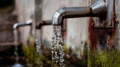 faucet 1684902 1280