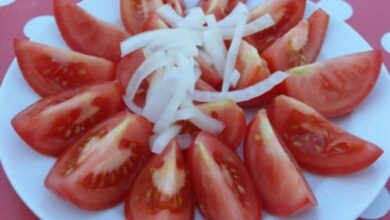 salata njemacka prtscn